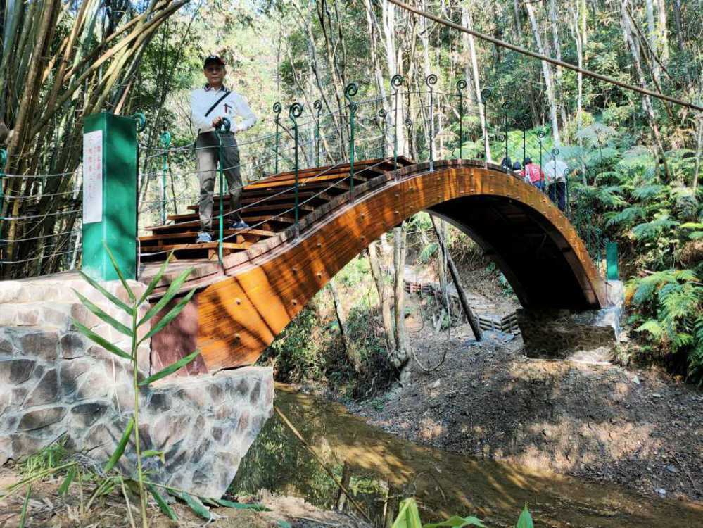打造澀水森林步道新景點 倘佯森林悠境 景觀橋完成啓用（圖：南投林管處 提供）