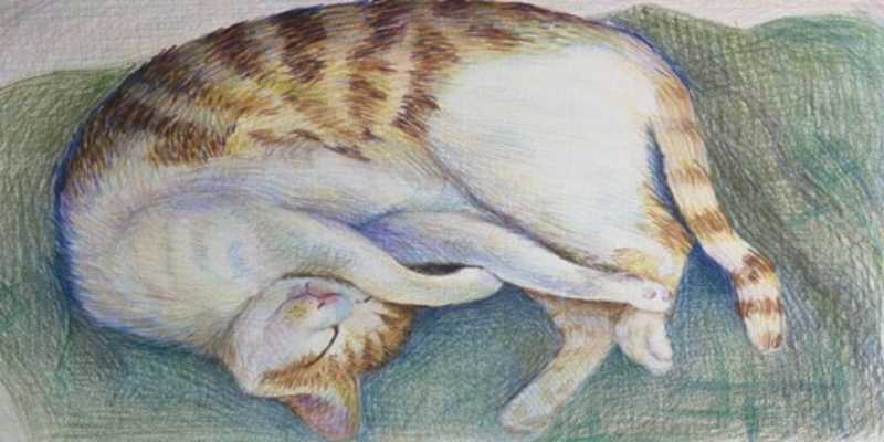 messageImage_1656314595008_compressed.jpg