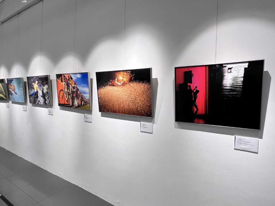 竹縣美術館開春5展開跑 邀民眾逛展還能賞花