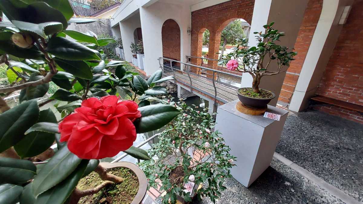 竹縣美術館開春5展開跑 邀民眾逛展還能賞花