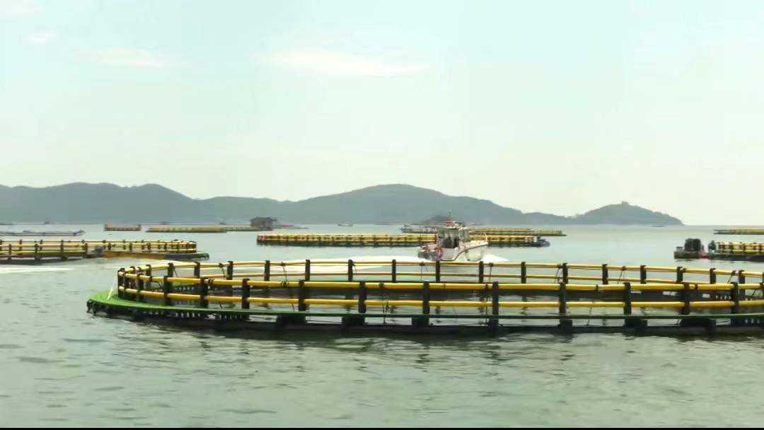 诏安县海上生态牡蛎養殖場。（圖/主辦單位提供）