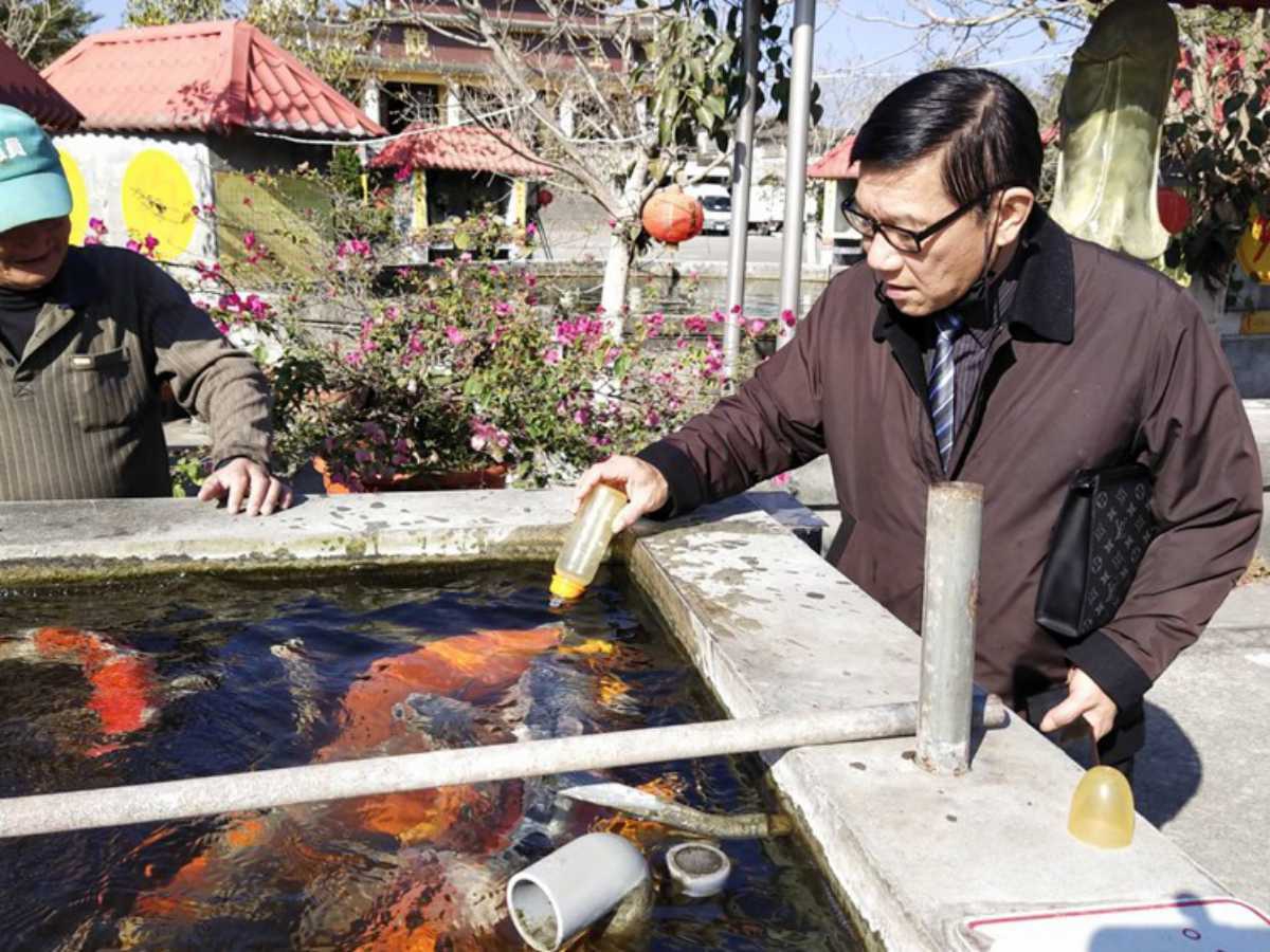 吸奶瓶鯉魚