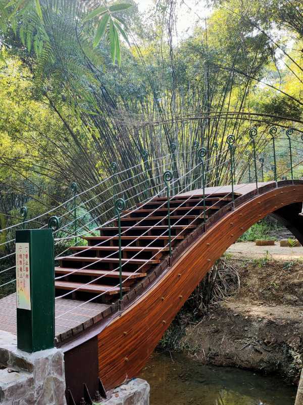 打造澀水森林步道新景點 倘佯森林悠境 景觀橋完成啓用（圖：南投林管處 提供）