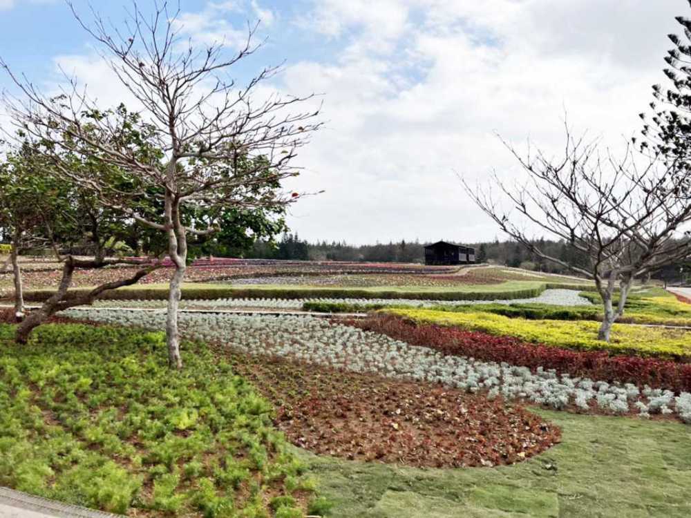 「虎虎生風賀新春」澎湖休憩園區花海熱鬧過新年（圖：行政科 提供）