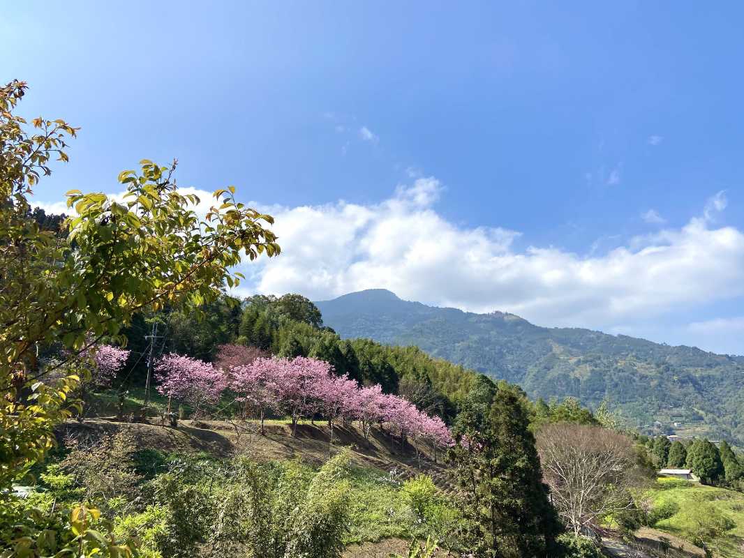 竹縣重塑原鄉景點  五峰桃山旅遊軸線獲補助