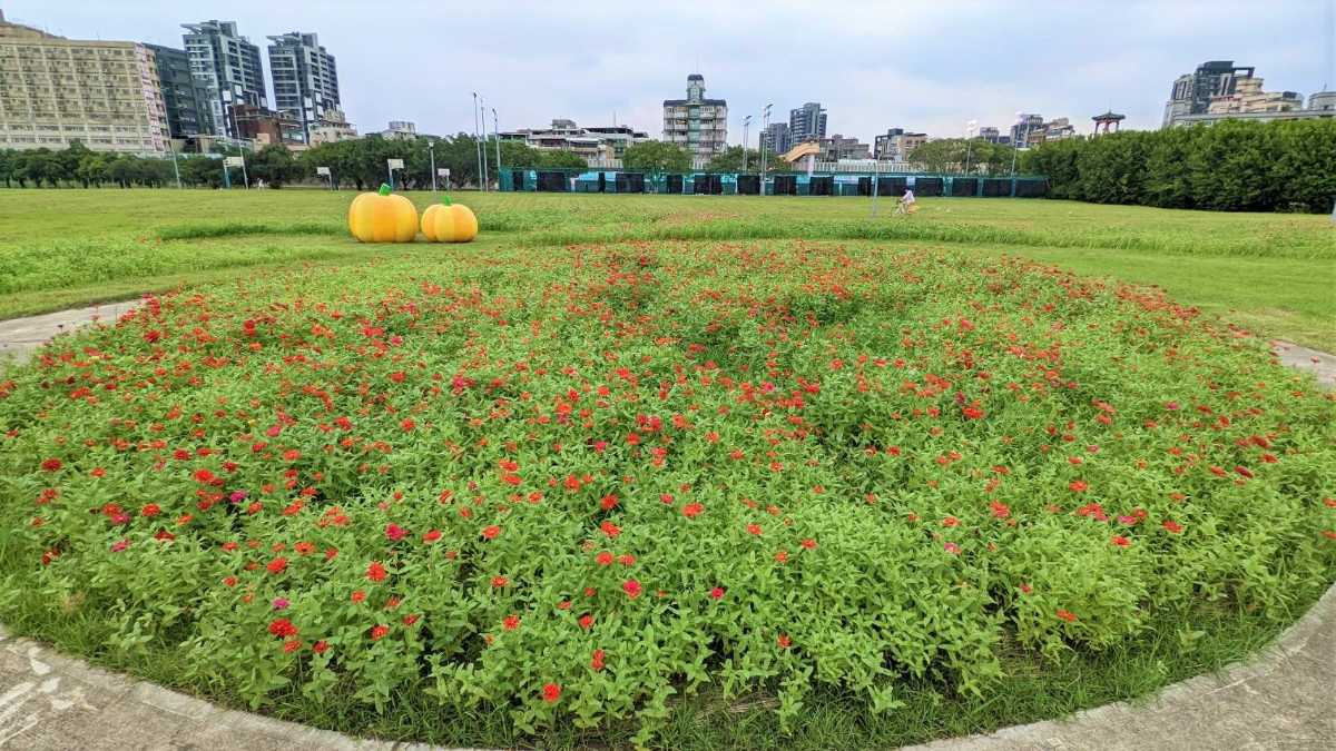 中秋節賞花chill 暢玩北市河濱好愜意