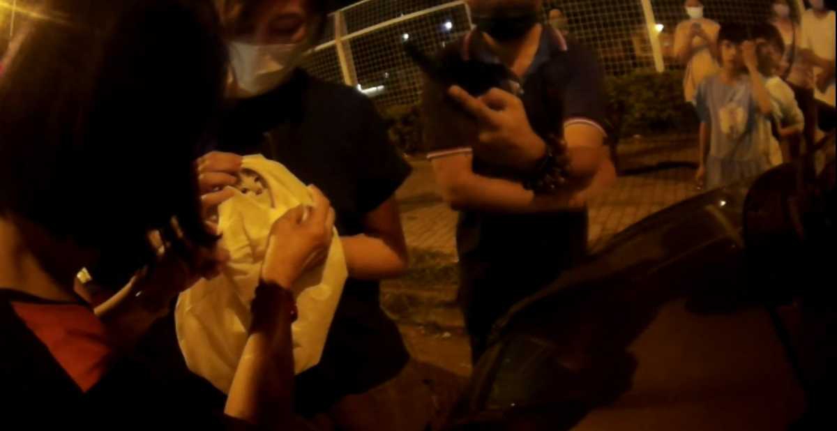 萌貓受困車內2天喵喵叫 中市警民溫馨搶救大作戰