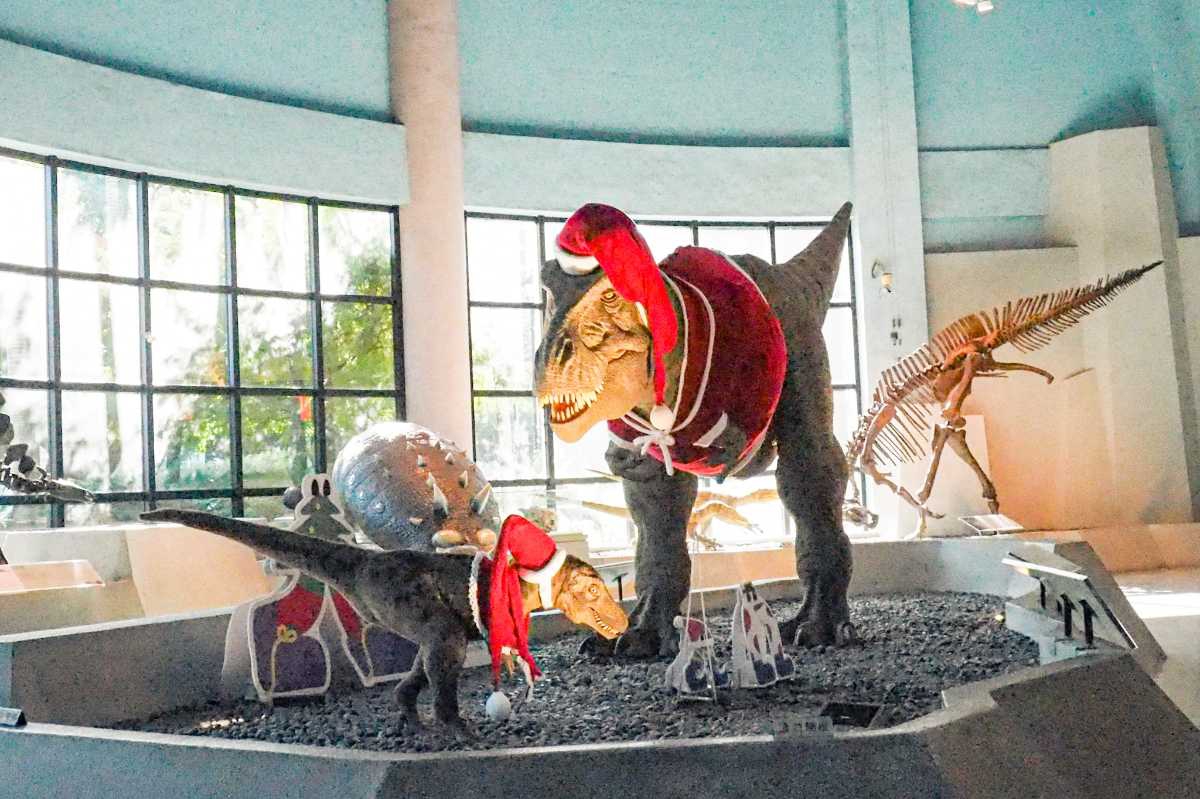 科博館暴龍首度穿上聖誕親子裝，與草悟系串聯聖誕活動。圖片來源：國立自然科學博物館.jpg