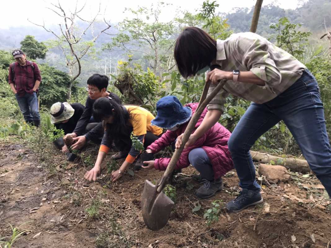 新竹林管處攜手山貓森林共同打造苗栗綠網方舟（圖：林務局新竹林區管理處 提供）