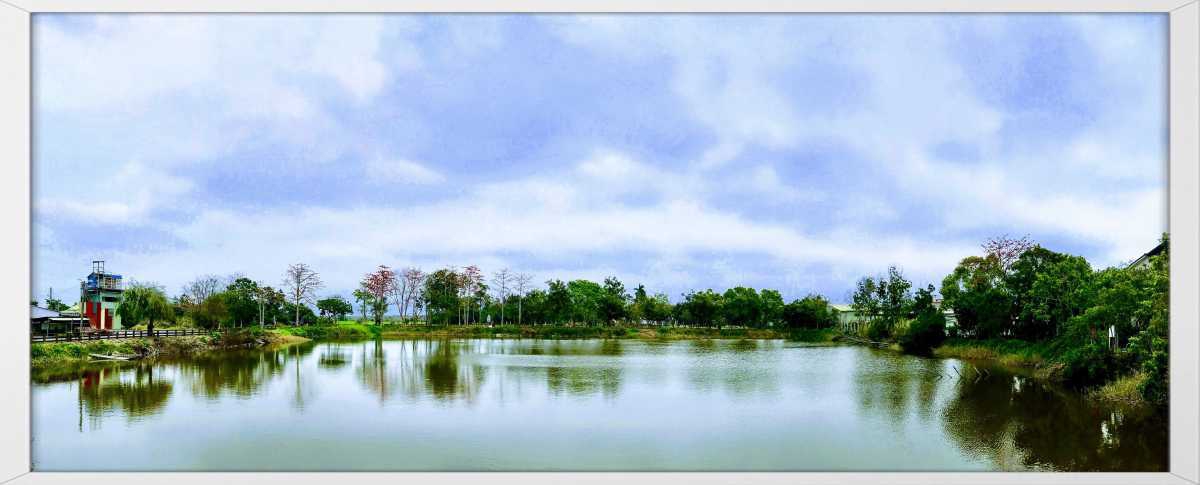 比賽現場以芙蓉埤生態園區周邊景觀為主題