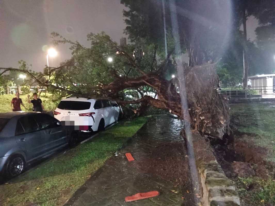 雨炸北臺/北投警不畏風雨 暗夜排除河堤倒塌路樹