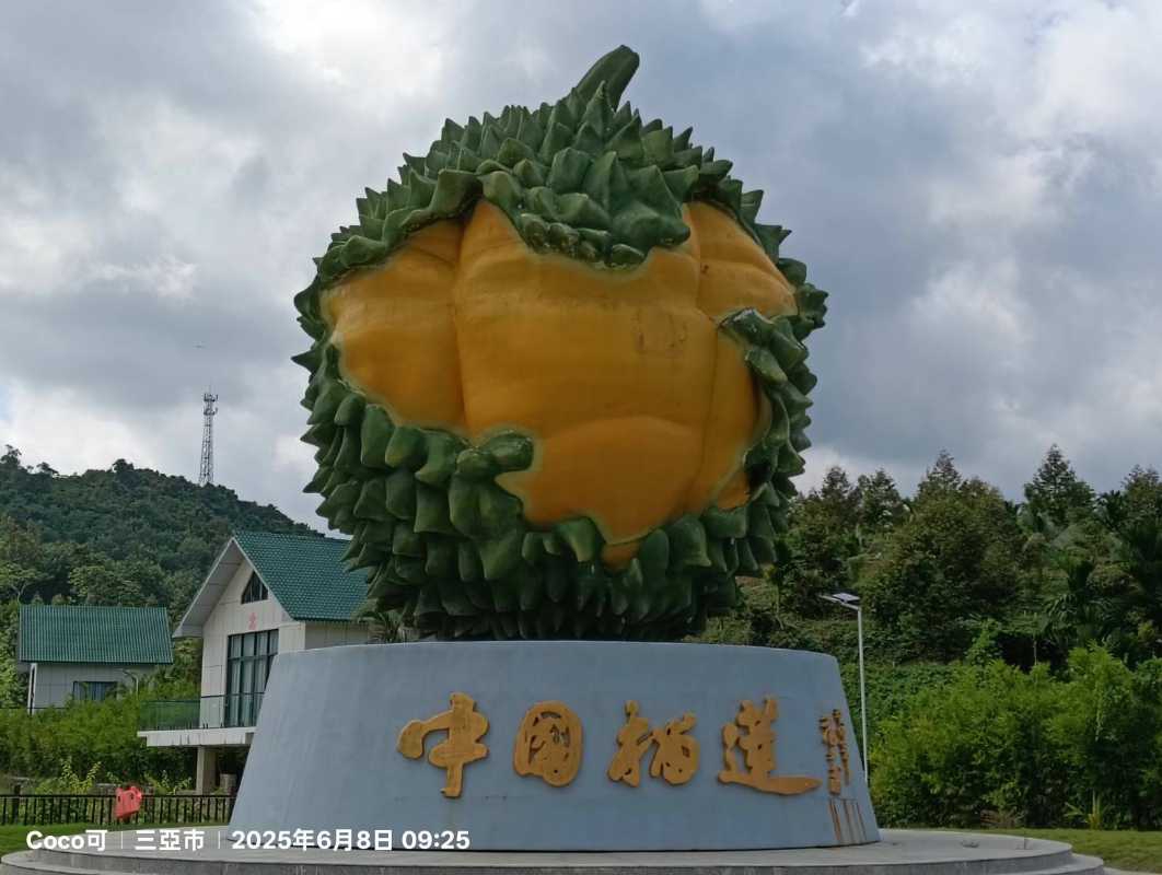 何以中國·行走海南——三亞榴槤來。（圖/ 彭可拍攝）
