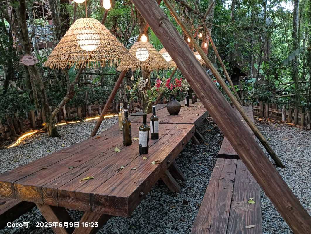 何以中國·行走海南 —— 境外媒體齊聚五指山　探訪海南生態文明建設新標杆！。（圖/彭可拍攝）